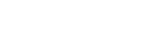 The bases we use for our Ferrantis are 500 Ds, Ls, Fs and Rs. On request, our Jollys can also be made from 600s, Multiplas and Giardinettas.